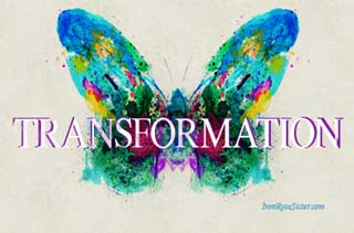 butterfly transformation